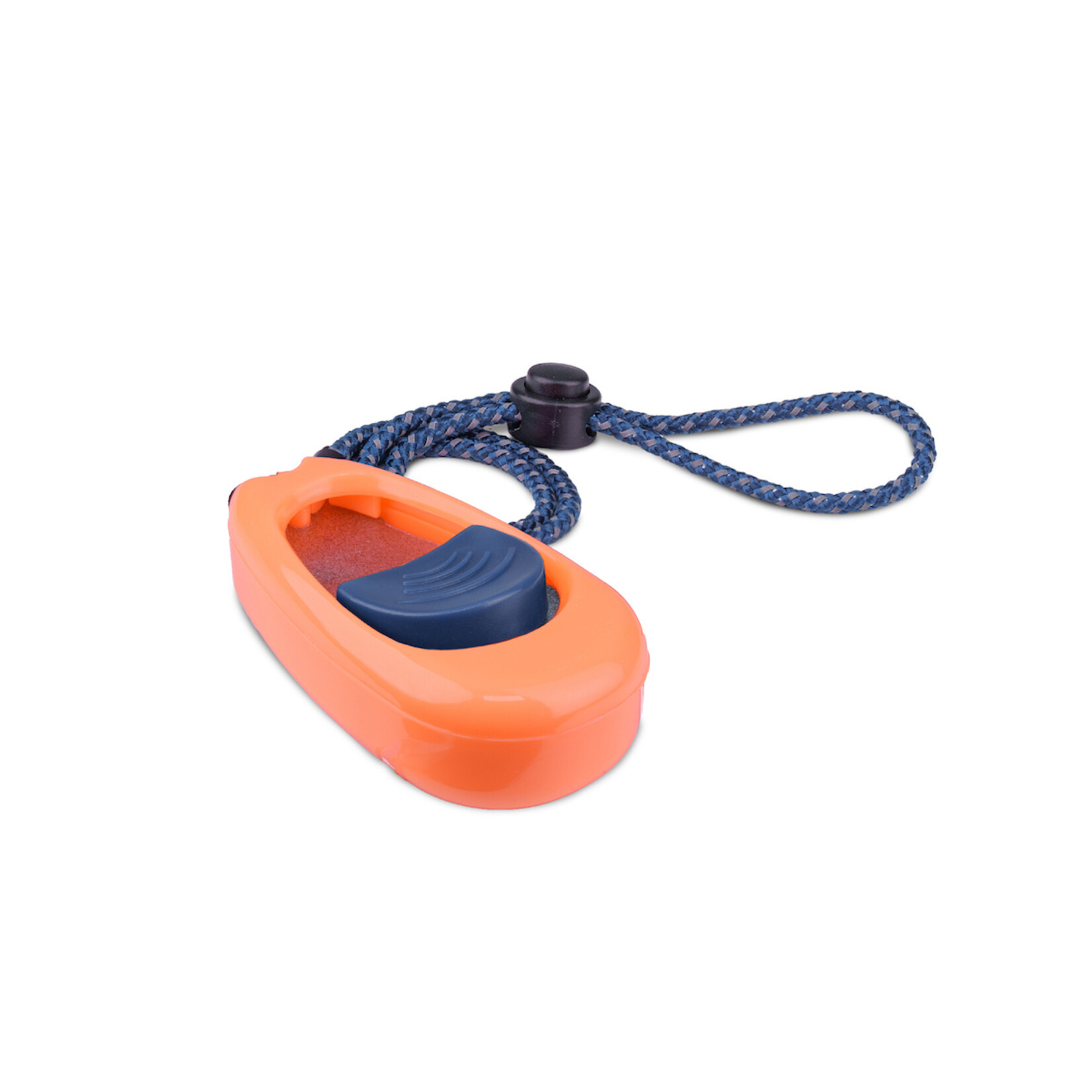 The Company of Animals The Company of Animals Coachi Multi-Clicker