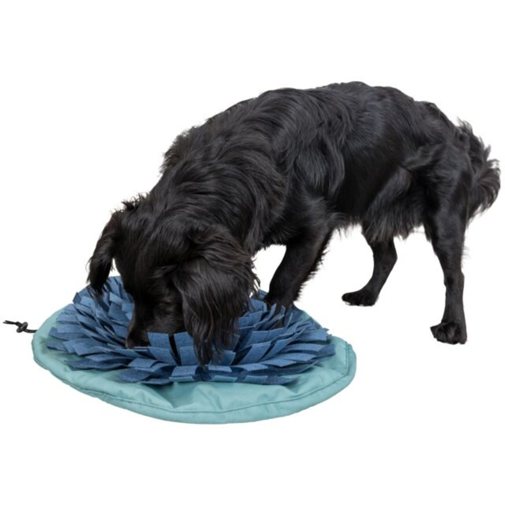 TRIXIE Pet Products TRIXIE Sniff & Seek Bowl Snuffle Mat