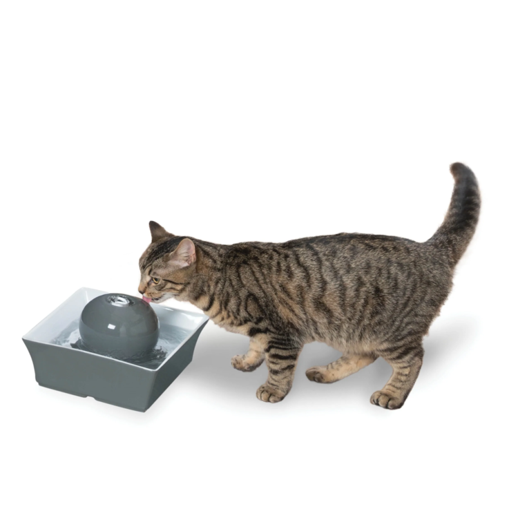 PetSafe PetSafe Seascape Pet Water Fountain