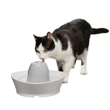 PetSafe PetSafe Creekside Ceramic Pet Fountain