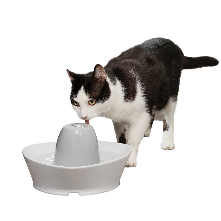 PetSafe PetSafe Creekside Ceramic Pet Fountain