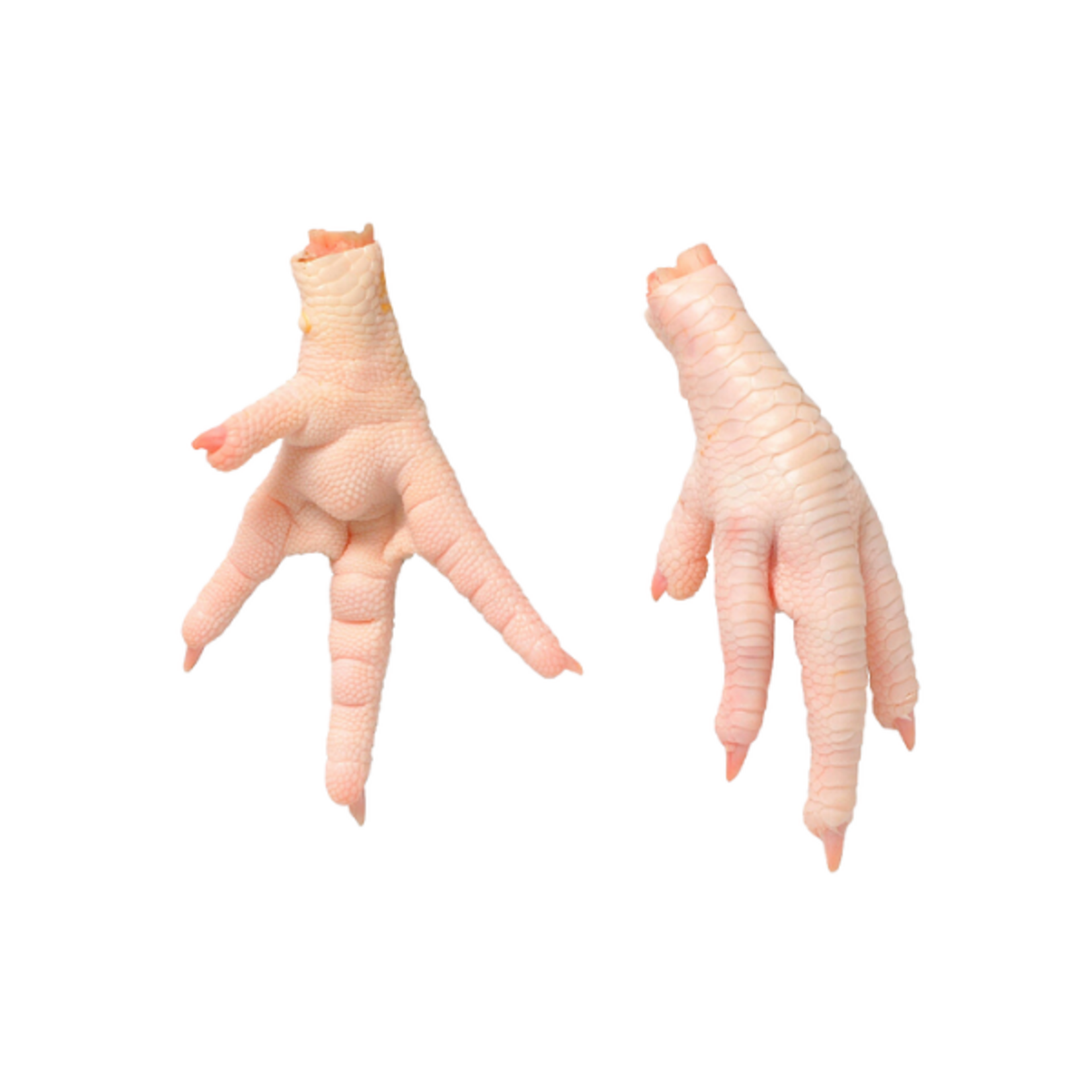 Rawr RAWR Parts Department - Frozen Chicken Feet