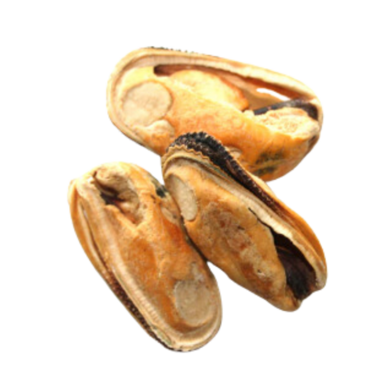 Rawr RAWR Parts Department - Frozen Green Lipped Mussels