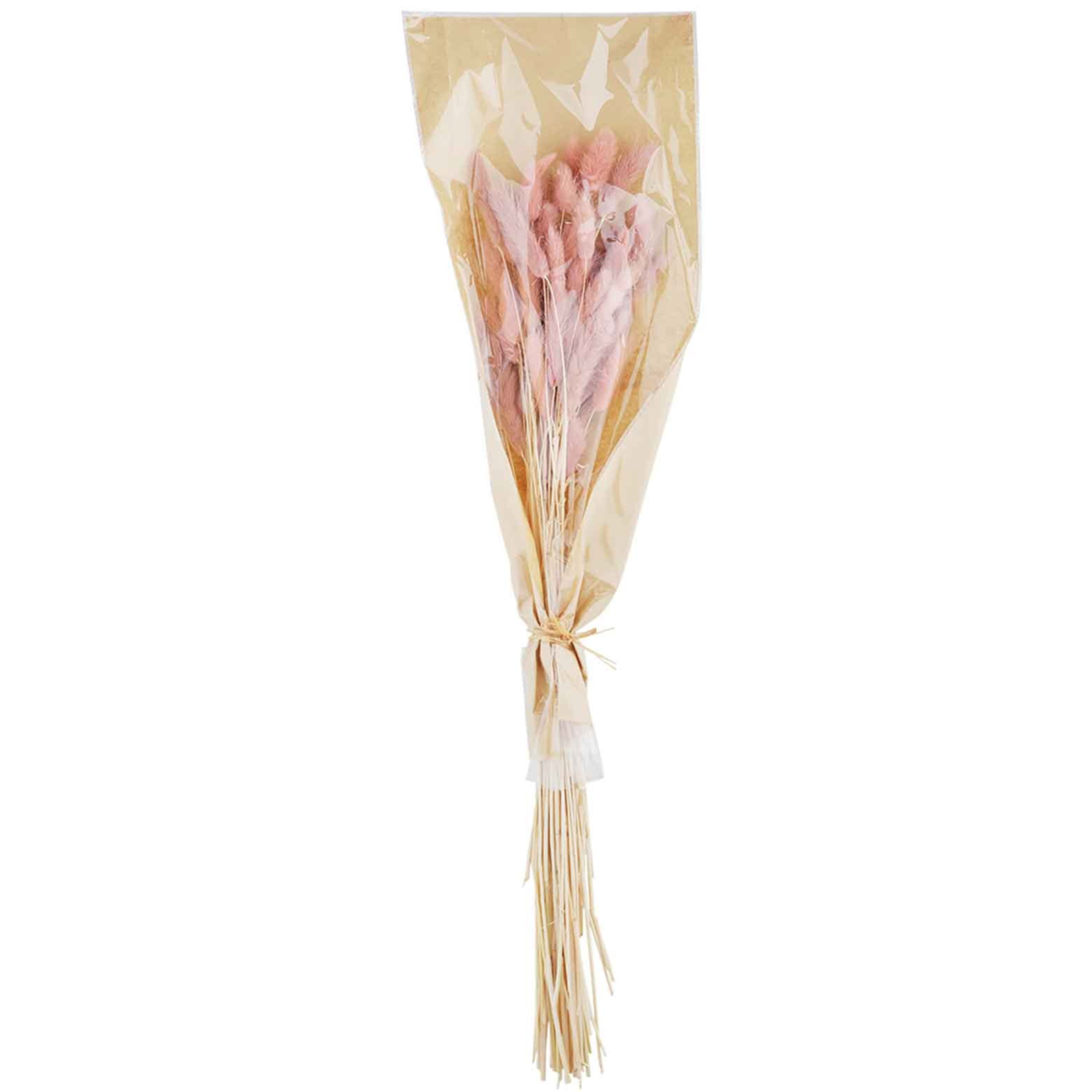 Pink Dried Bunny Tail Stems