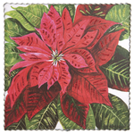 Gallery Brilliant Poinsettia