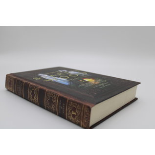 Hardcover Parisien, Dominik: The Starlit Wood: New Fairy Tales