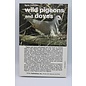 Hardcover Delacour, Jean: Wild Pigeons And Doves