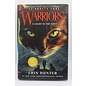 Hardcover Hunter, Erin: A Light in the Mist (Warriors: The Broken Code, #6)