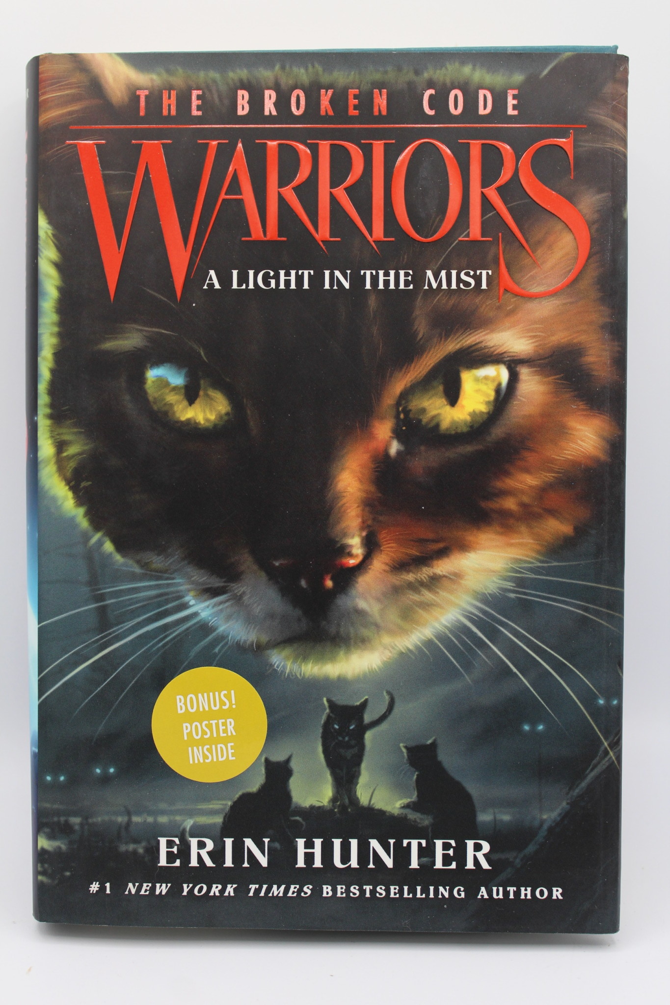 Warriors: The Broken Code #6: A Light in the Mist: Hunter, Erin:  9780062823885: : Books