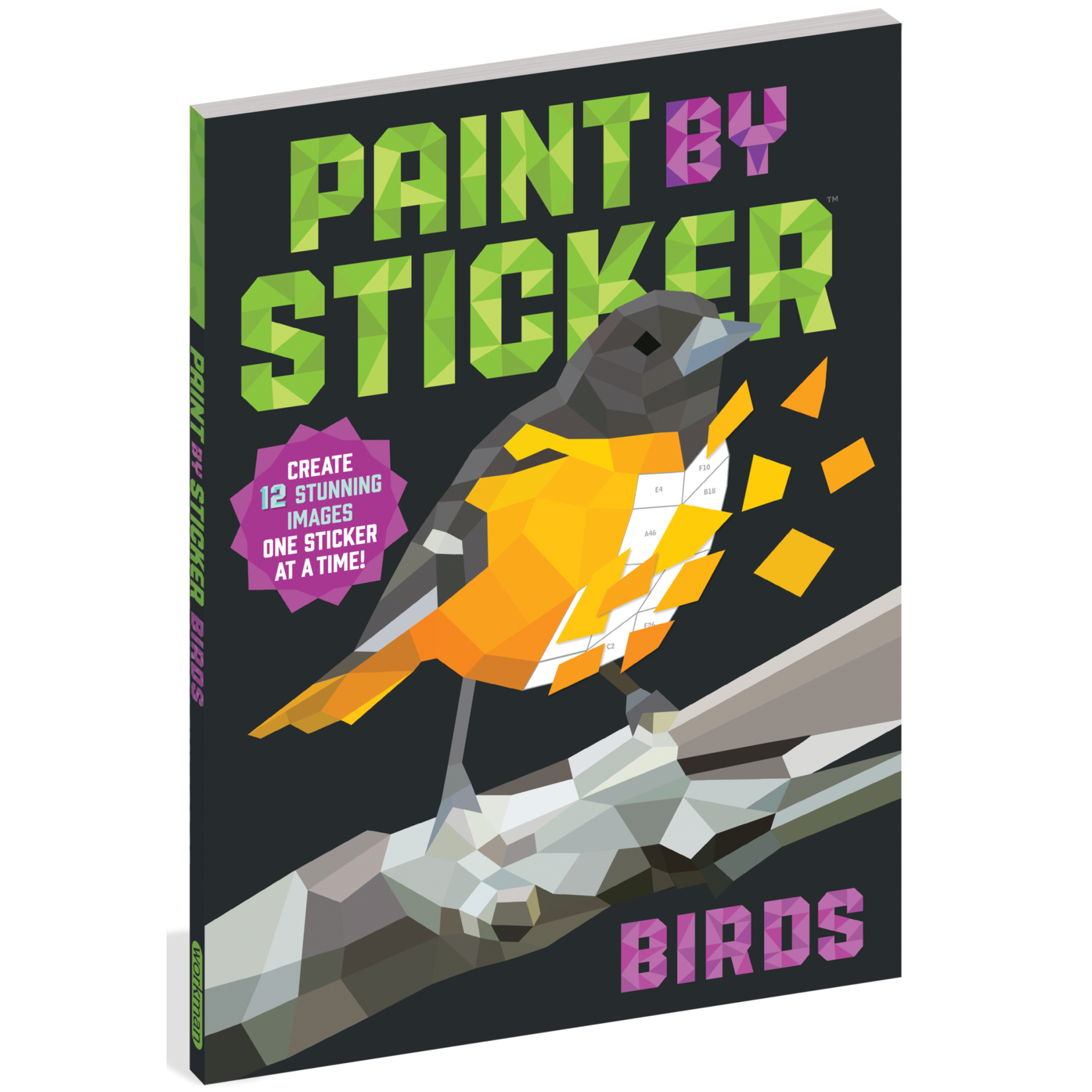 Workman Publishing Paint Sticker Birds
