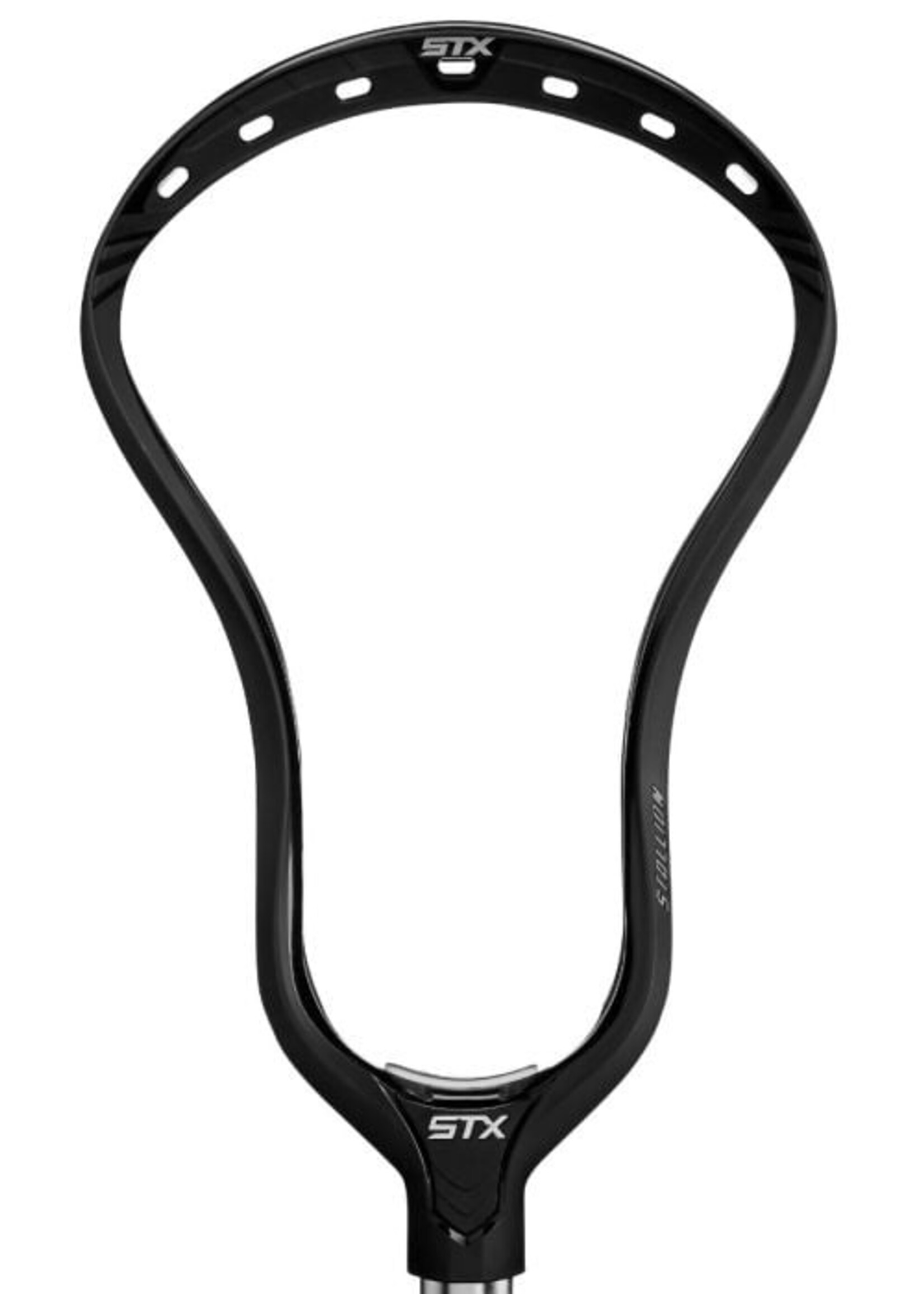 STX STX STALLION 1K HEAD