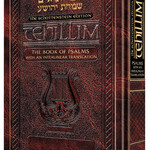 Interlinear Tehillim /Psalms Full Size The Schottenstein Edition [Hardcover]