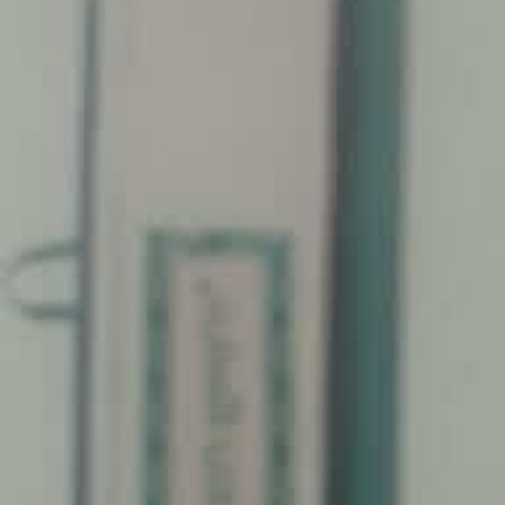 Clear Thick Plastic Lulav Holder