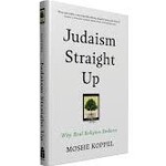Judaism Straight Up