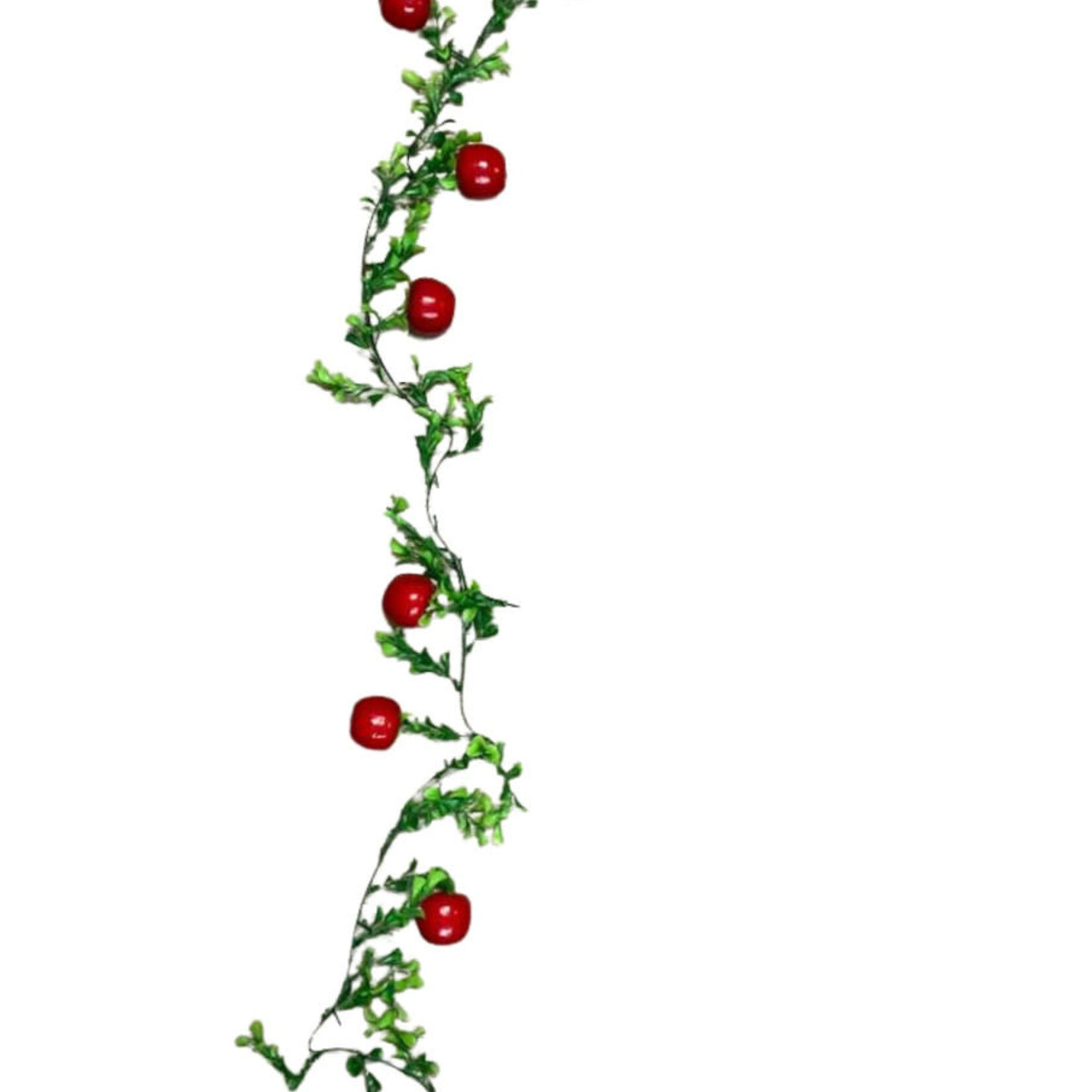 65" Apple Garland