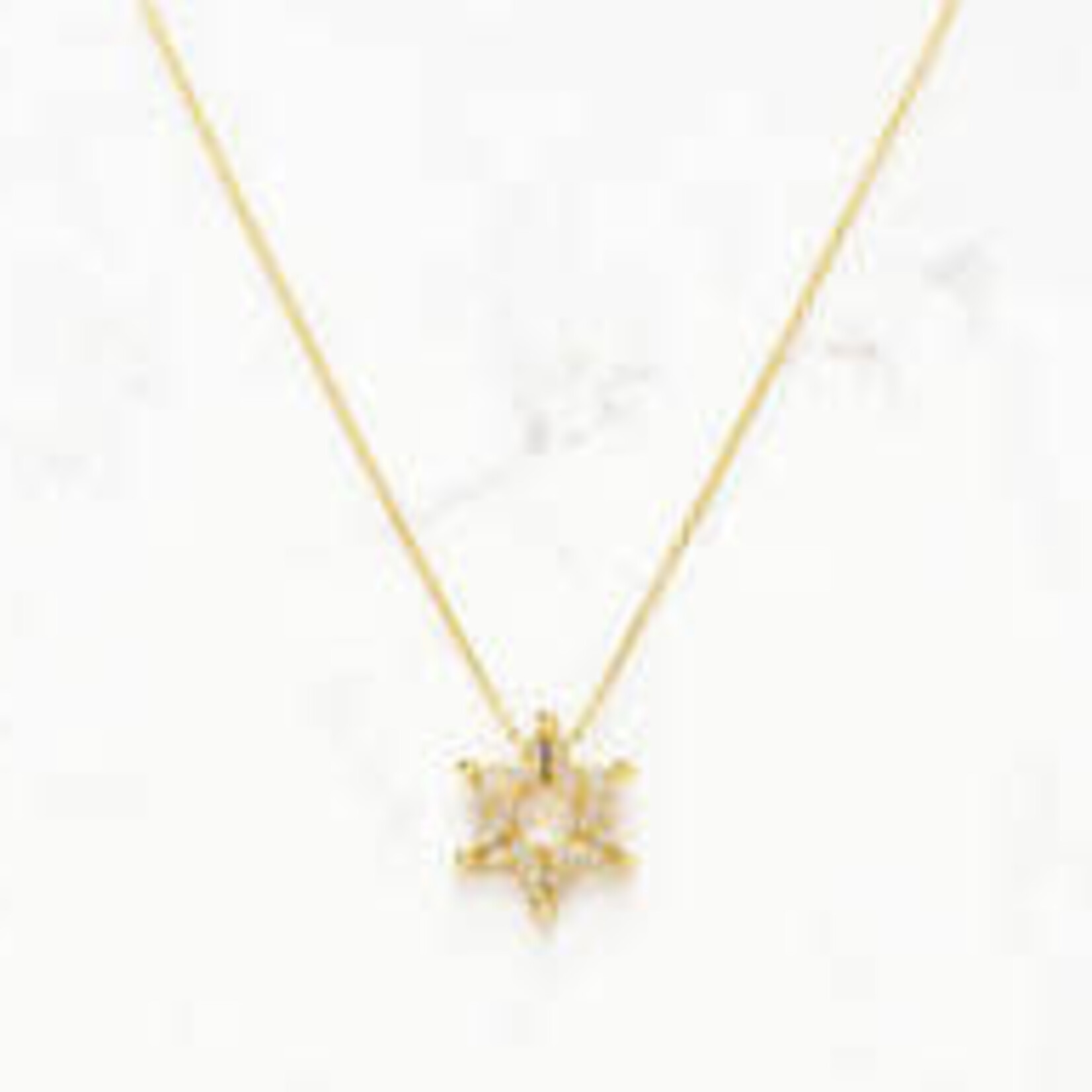 Sterling Silver Butterfly Star of David Necklace - Gold