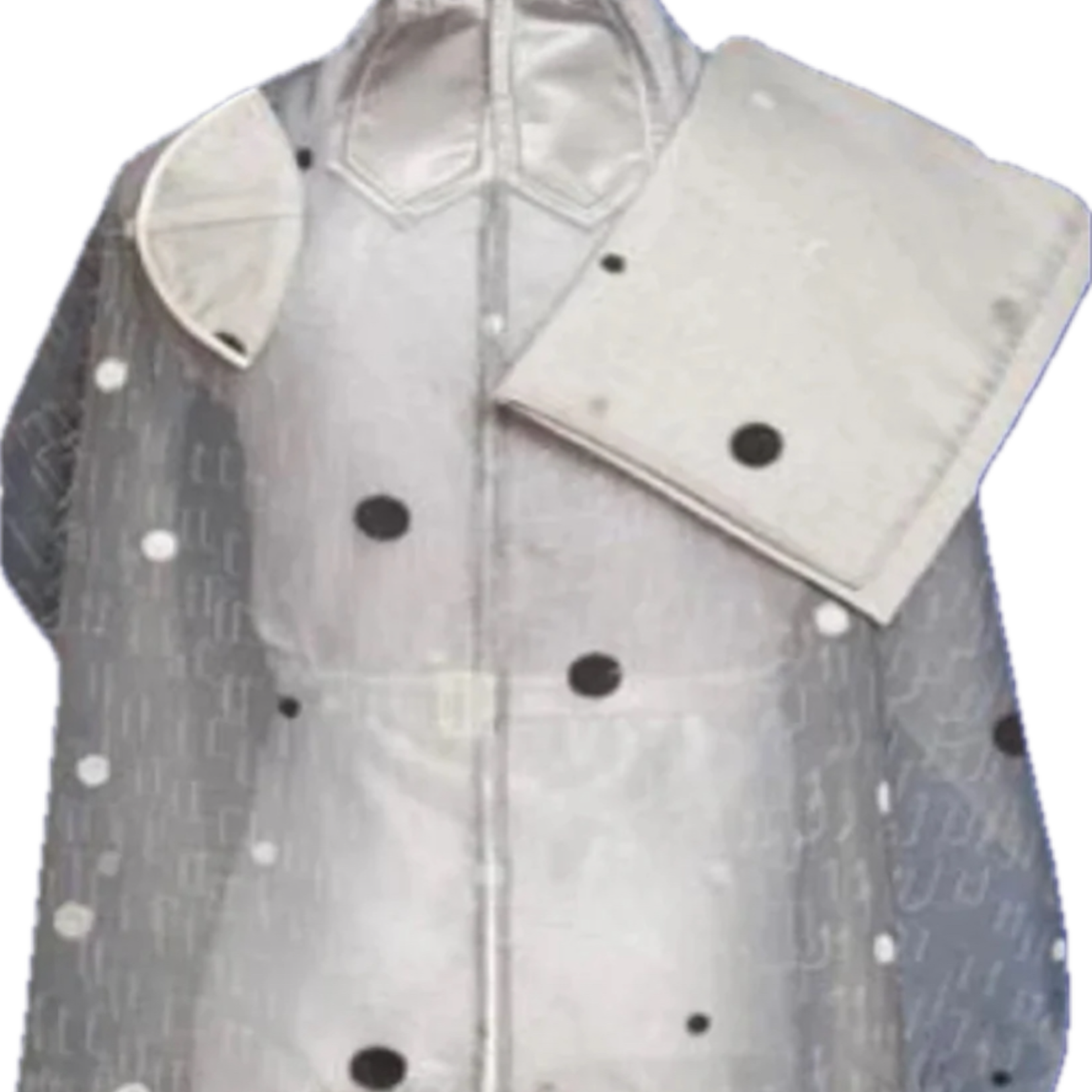 Silver Organza with Circles - Silver and Grey