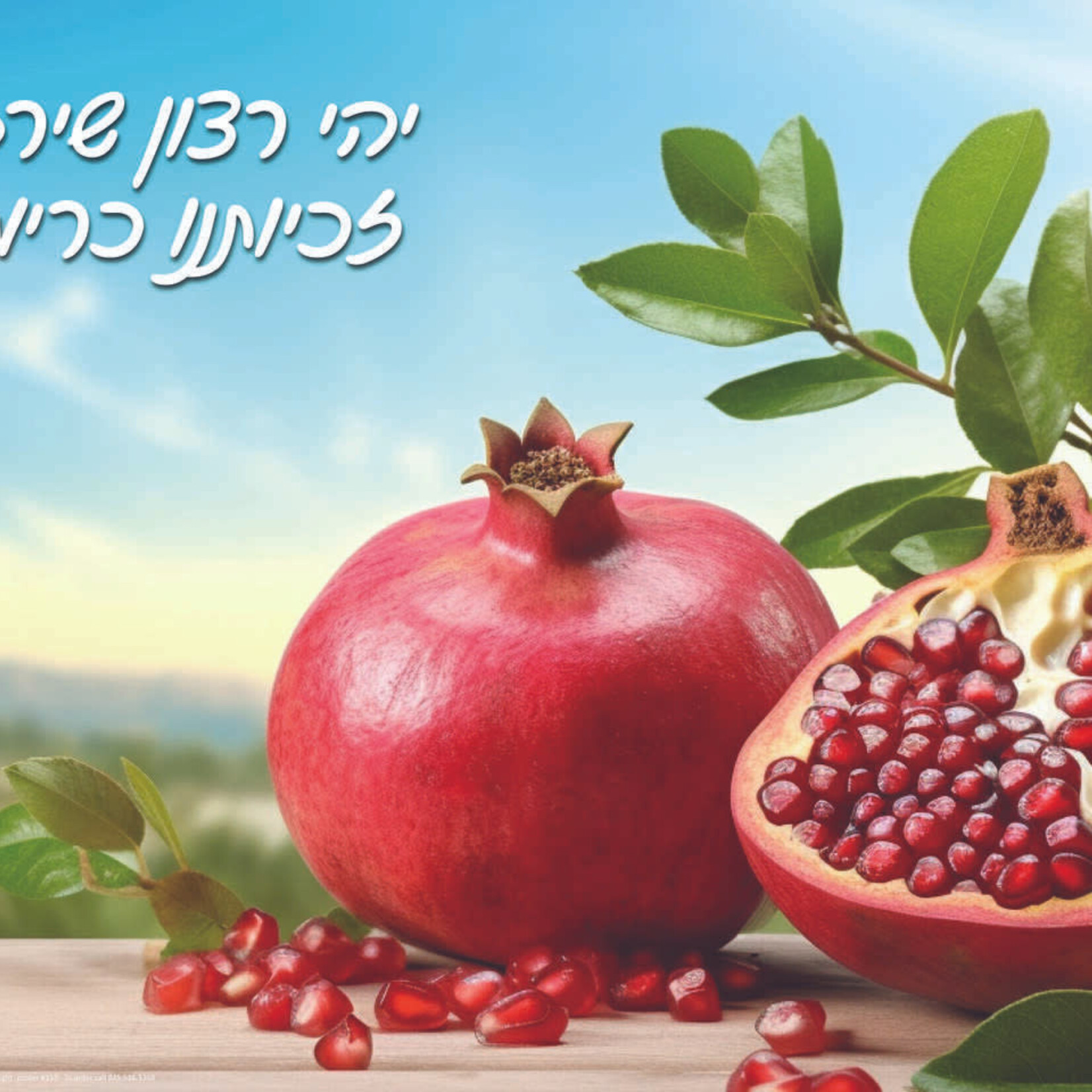 Laminated Poster Rimon -18"x24"