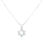 Jewish Star Pendant For Men - 20" SS Chain