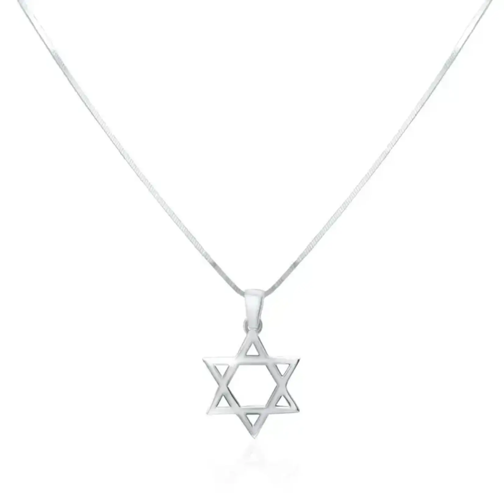 Jewish Star Pendant For Men - 20" SS Chain
