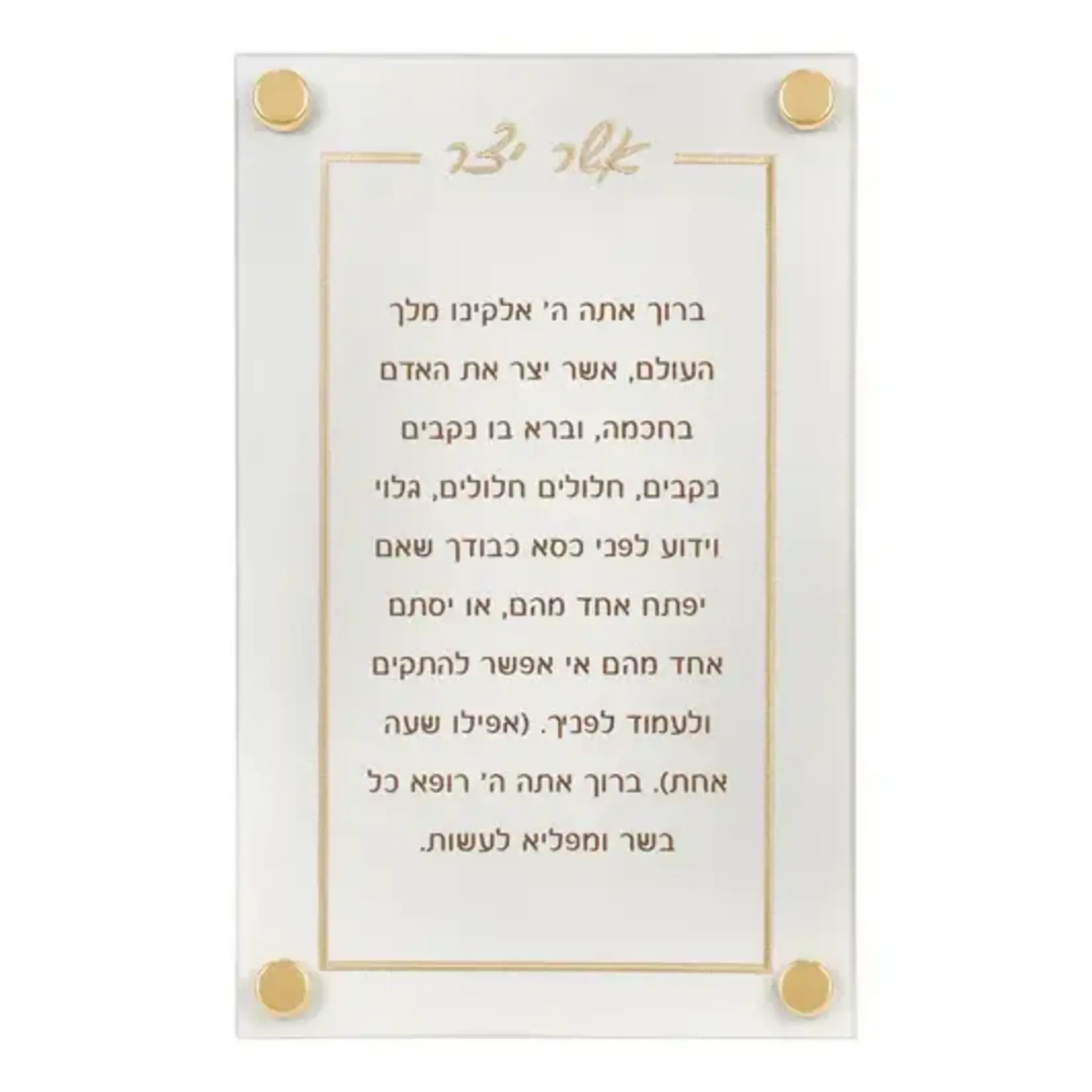 Leatherette Short Asher Yatzar with Gold Embroidery