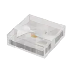 Acrylic Cocktail Napkin Tray - Golden Apple