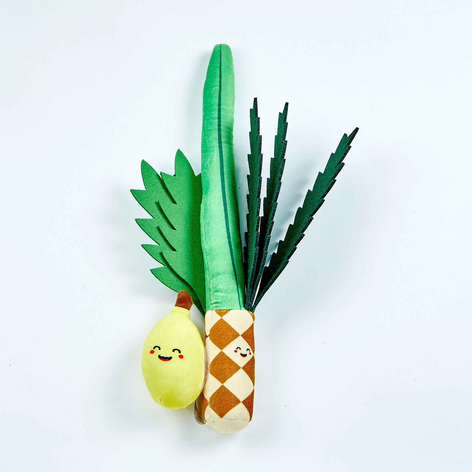 My Soft Lulav & Etrog Set in Plastic Carry  Bag