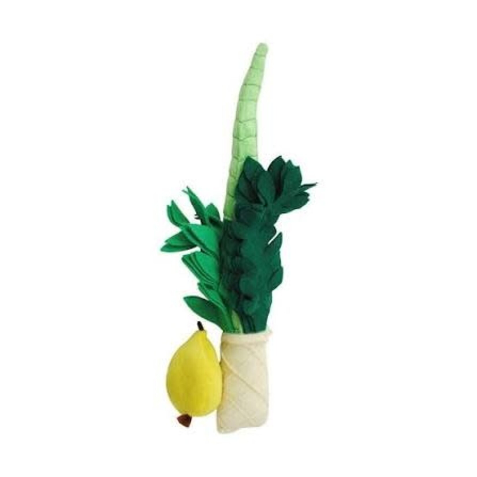 Soft Lulav And Etrog For Kids