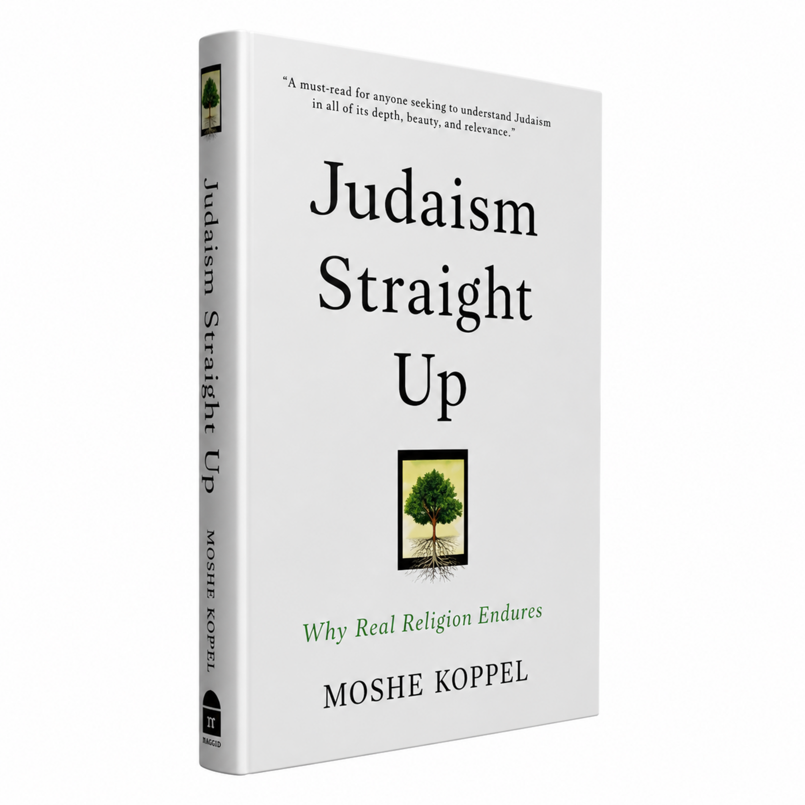 Judaism Straight Up