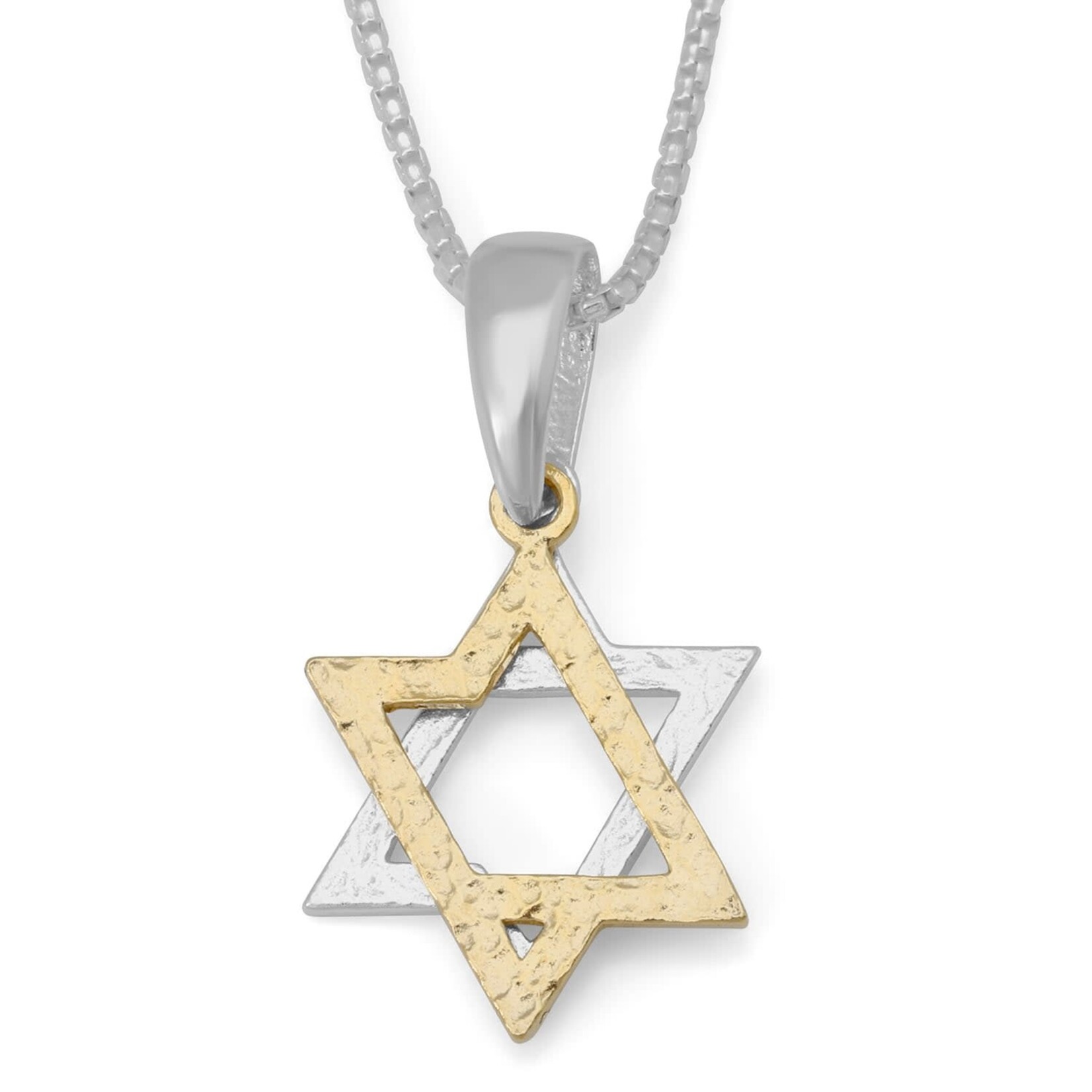 Sterling SilverTwo Toned Star of David Necklace
