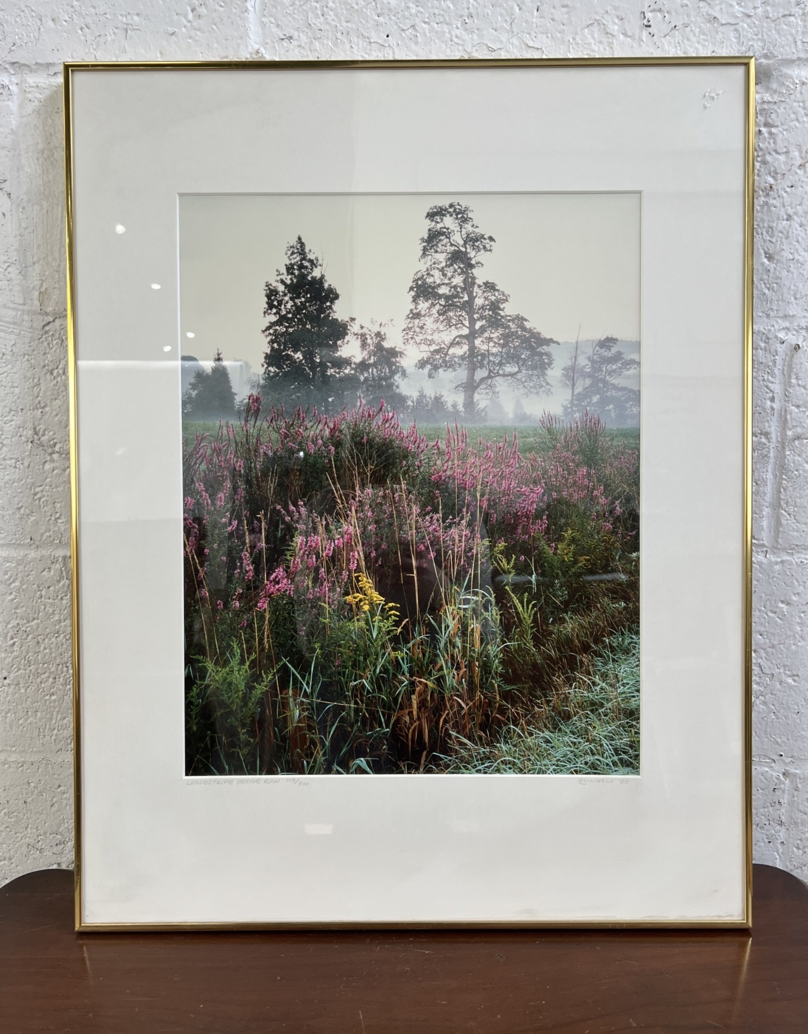 Loosestrife Hedge Row, framed photograph, sgnd Zungoli