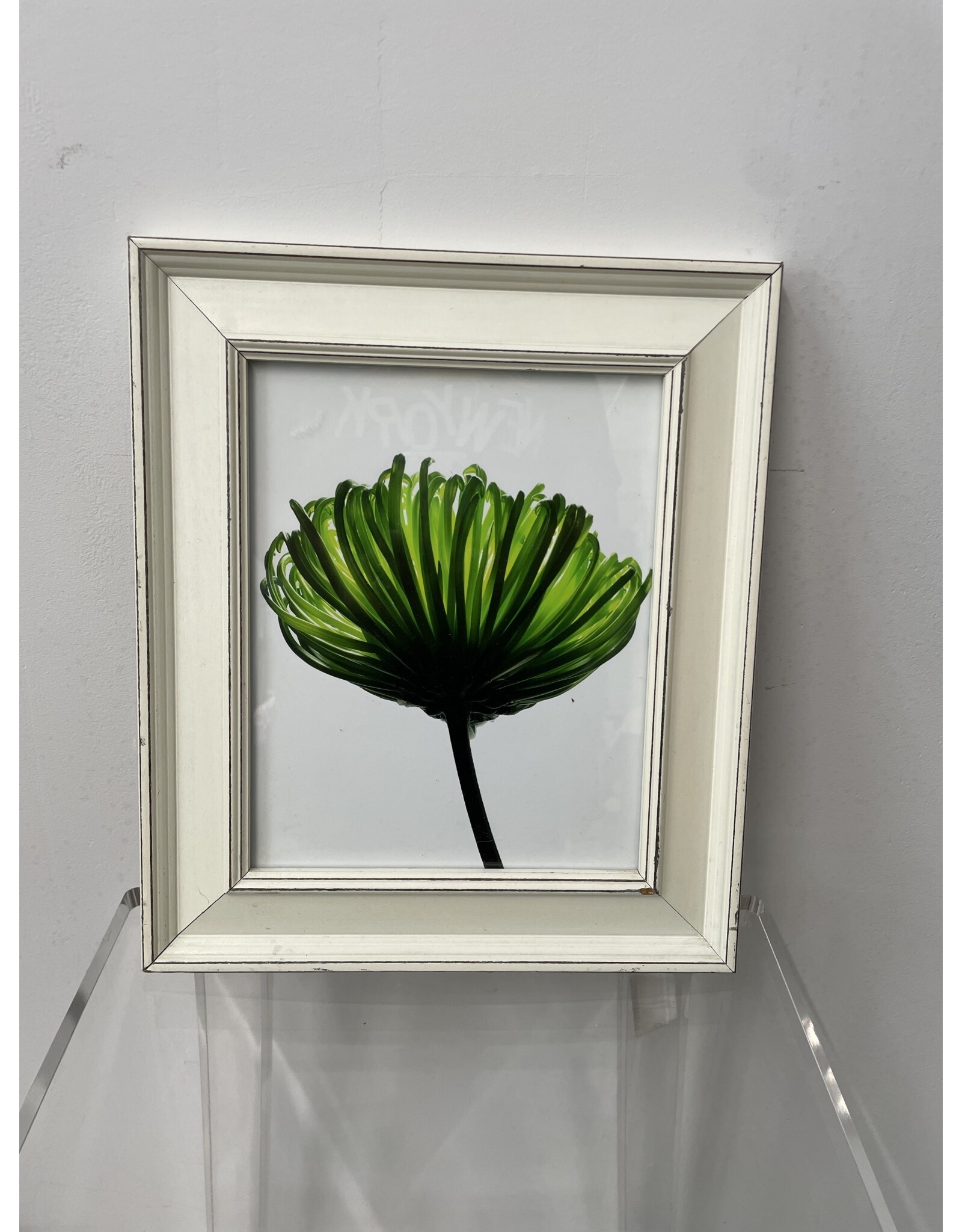 Green Flower Framed Photograph