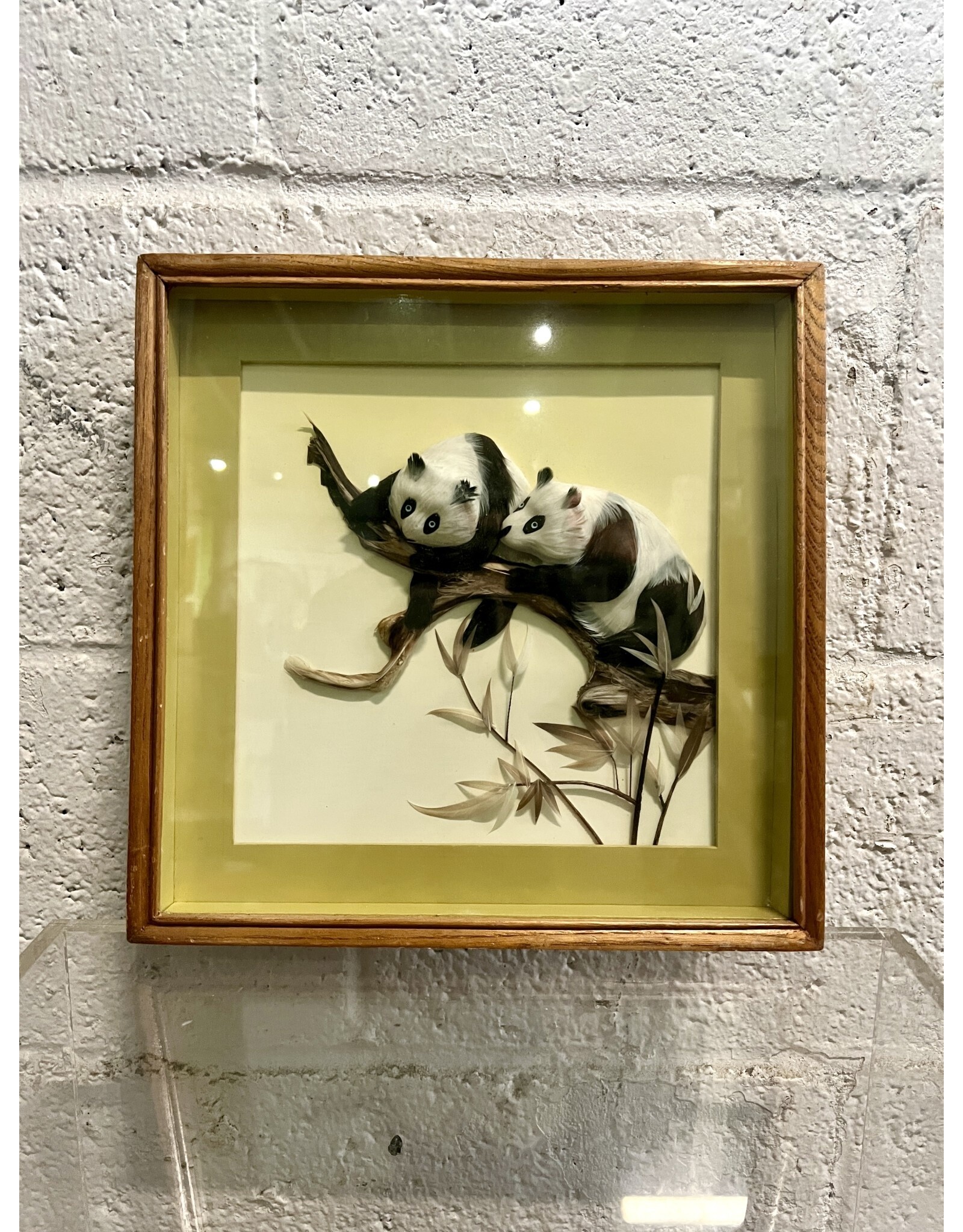 Panda Bears, framed feathercraft