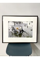 Rice Fields Framed Photograph