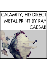 Calamity, HD Direct Metal Print by Ray Caesar