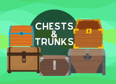 Chest/Trunk