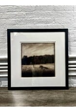 Mare and Foal, framed photograph