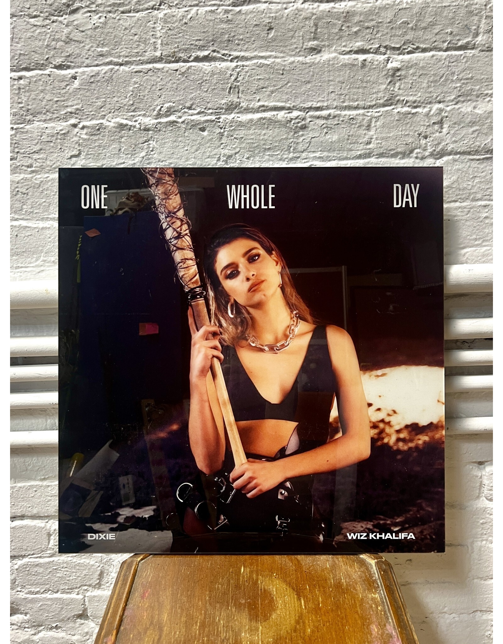 One Whole Day by Dixie D'Amelio, metal dye sublimation print