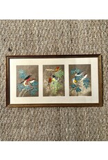 Framed Bird Triptych