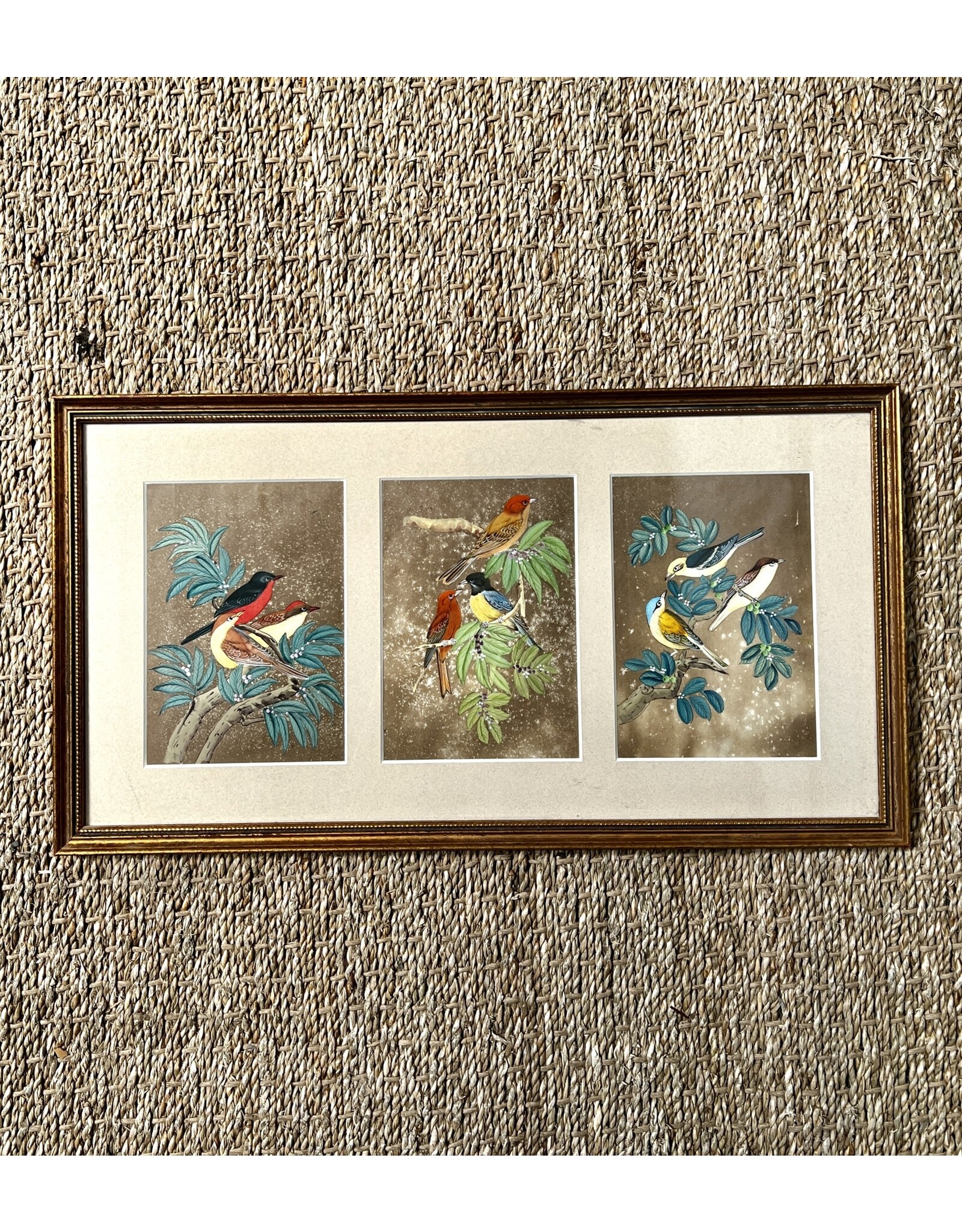 Framed Bird Triptych