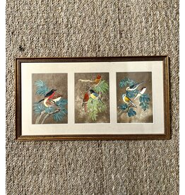 Framed Bird Triptych