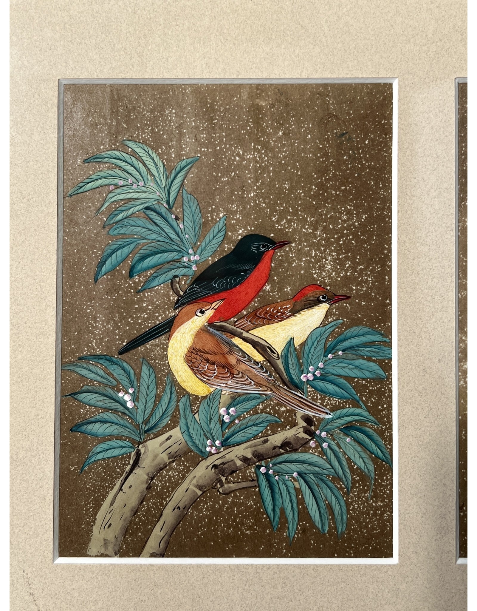 Framed Bird Triptych