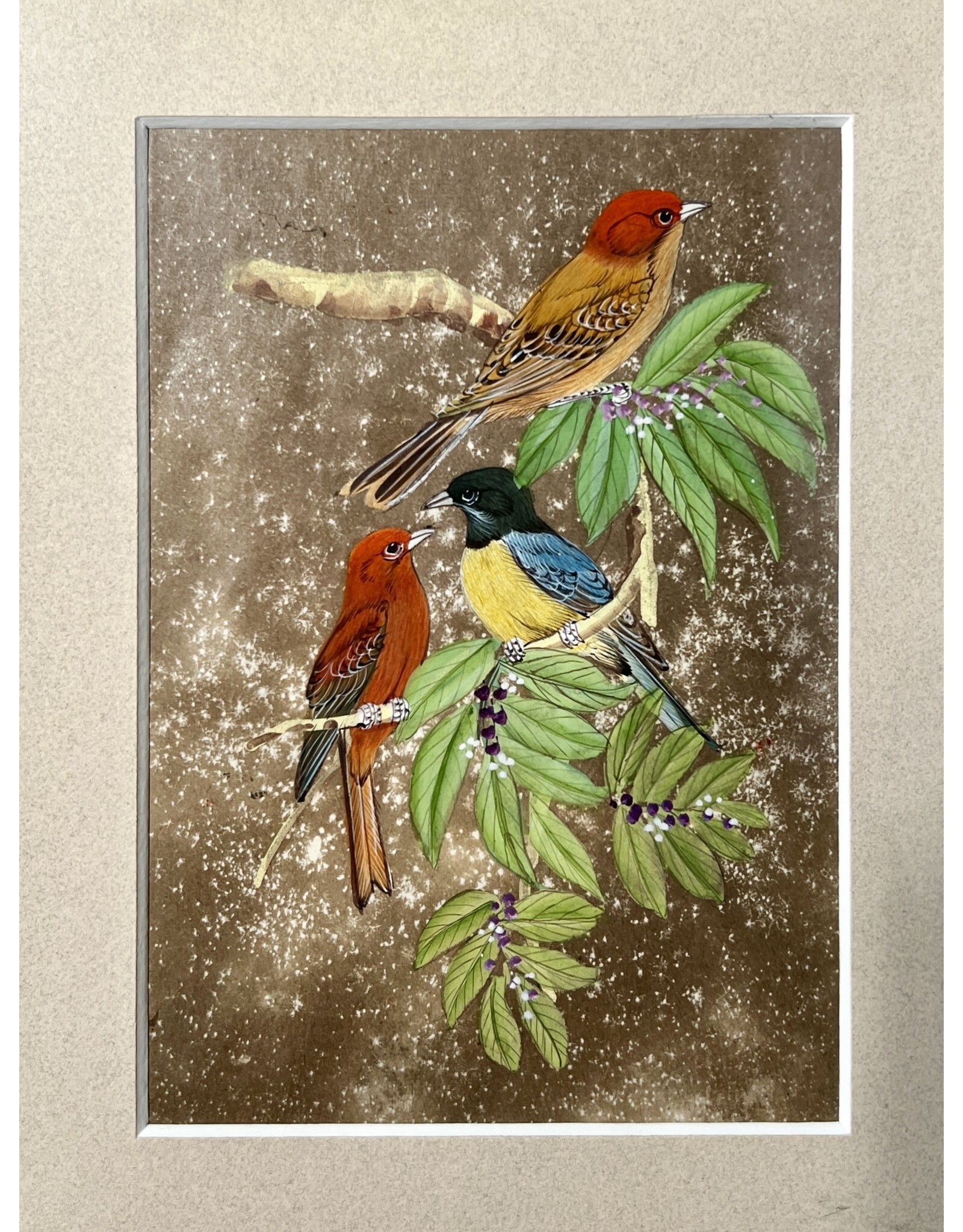 Framed Bird Triptych