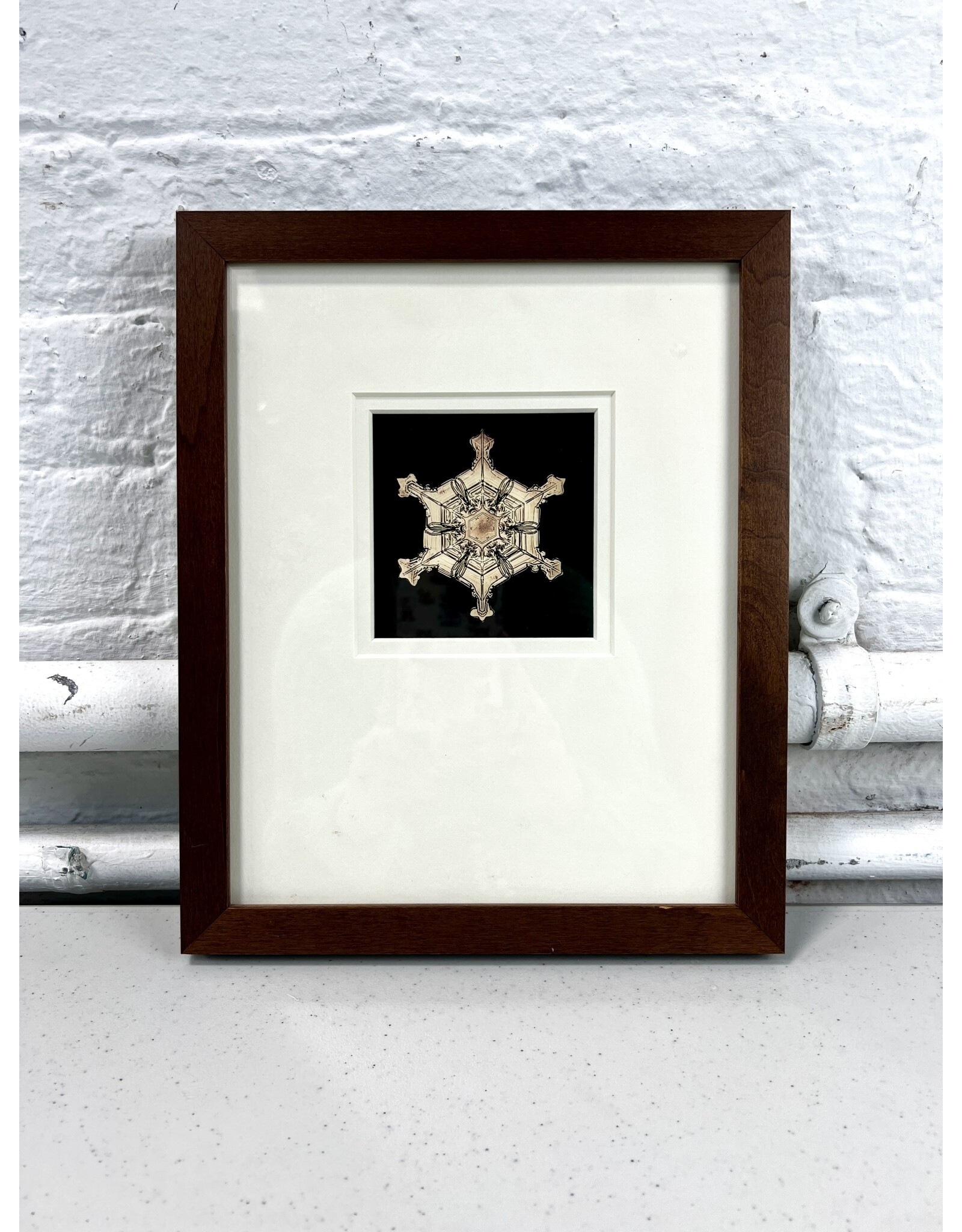 Framed Photo of a Snowflake