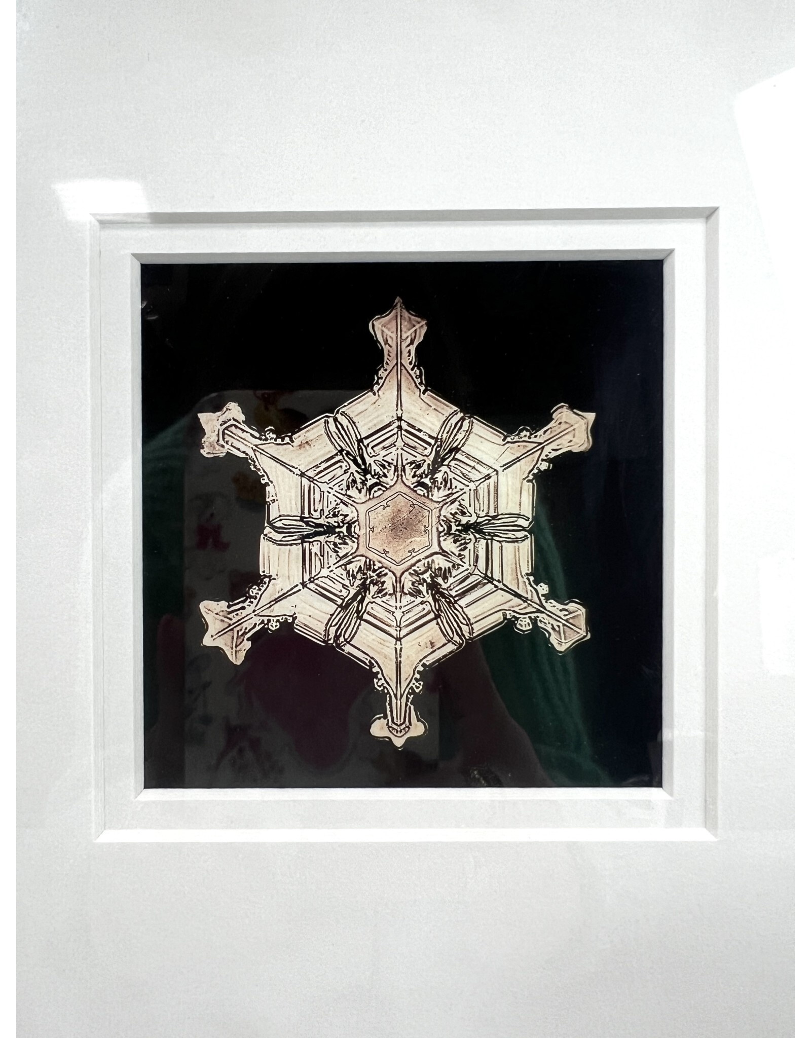 Framed Photo of a Snowflake