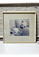 Sierra Club Wildlife Series, framed exhibition poster