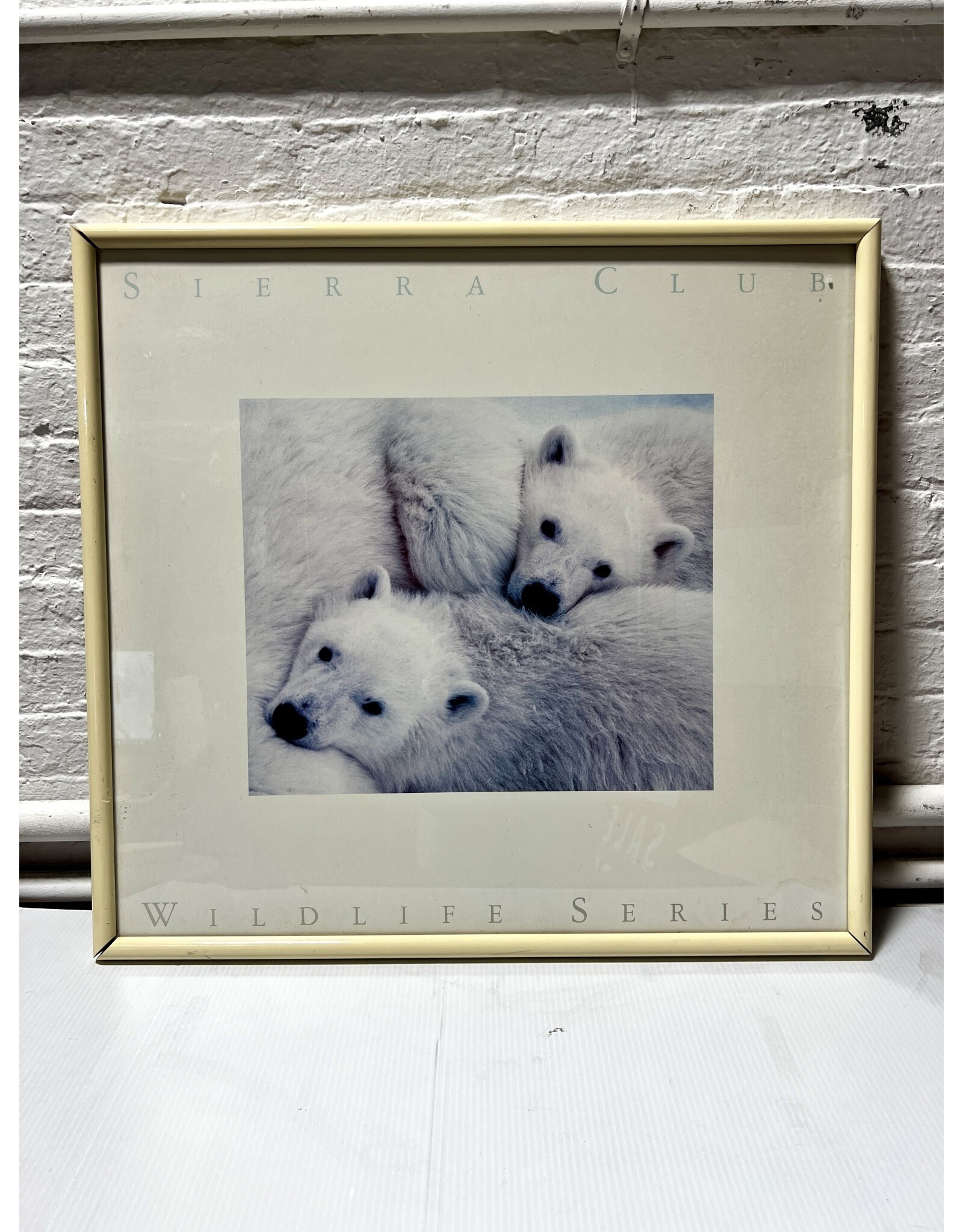 Sierra Club Wildlife Series, framed exhibition poster