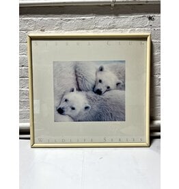 Sierra Club Wildlife Series, framed exhibition poster