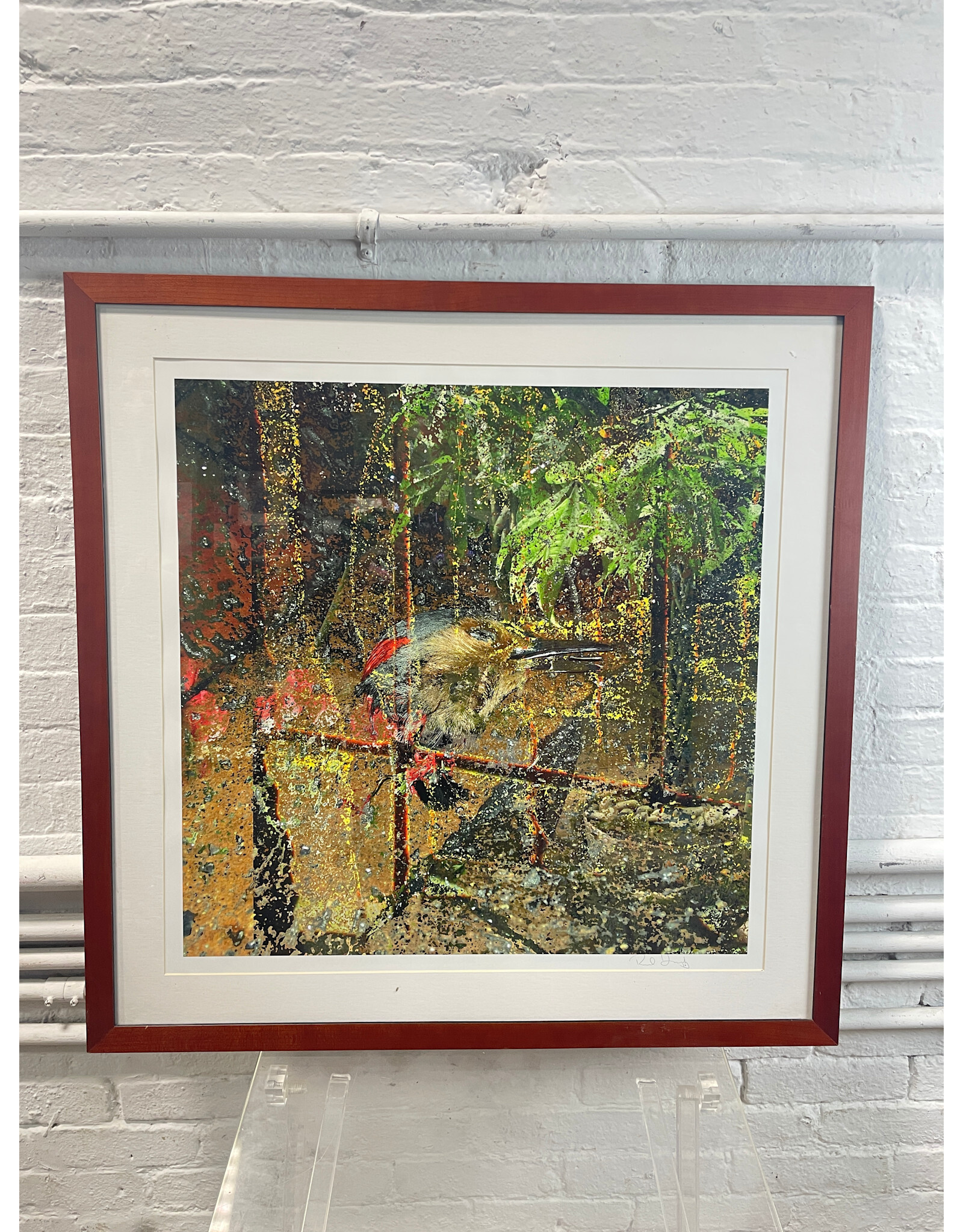I Spy With My Little Eye, framed print