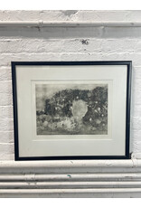 Arizona Wall, framed print, sgnd Lillian Farber 1/30